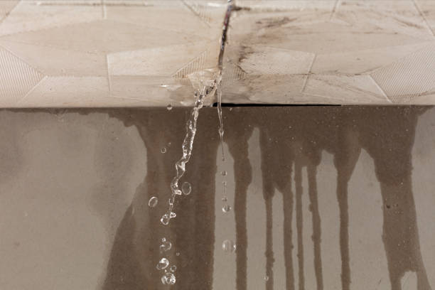 Professional Burst Pipe Cleanup technician working in Pelican Lake, WI
